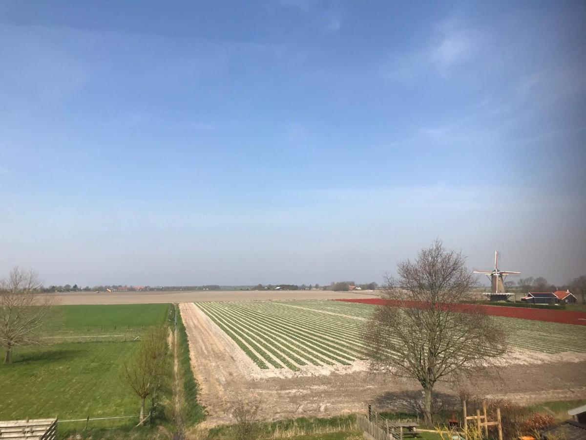 In De Gele Hoed Mooie Appartementen Met Fantastisch Uitzicht Zonnemaire Luaran gambar