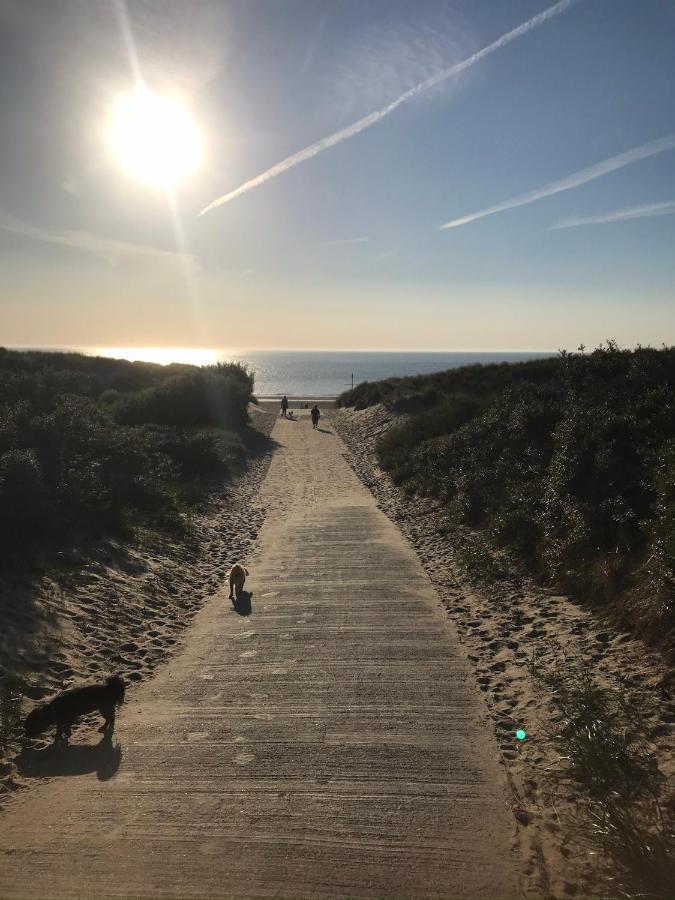 In De Gele Hoed Mooie Appartementen Met Fantastisch Uitzicht Zonnemaire Luaran gambar